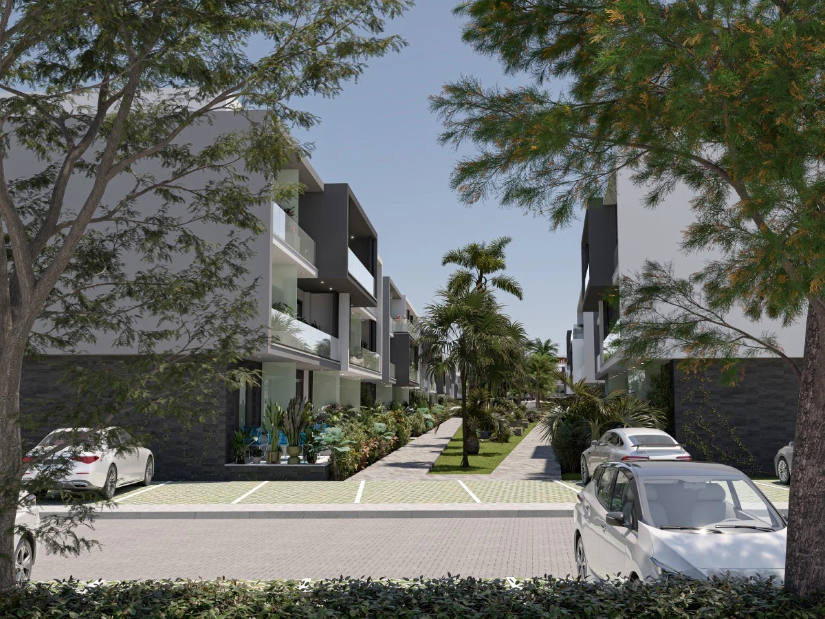 D-Point - 14